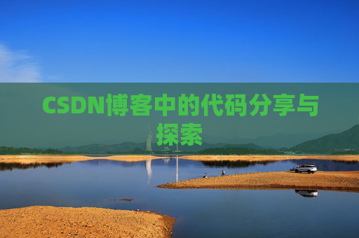 CSDN博客中的代码分享与探索